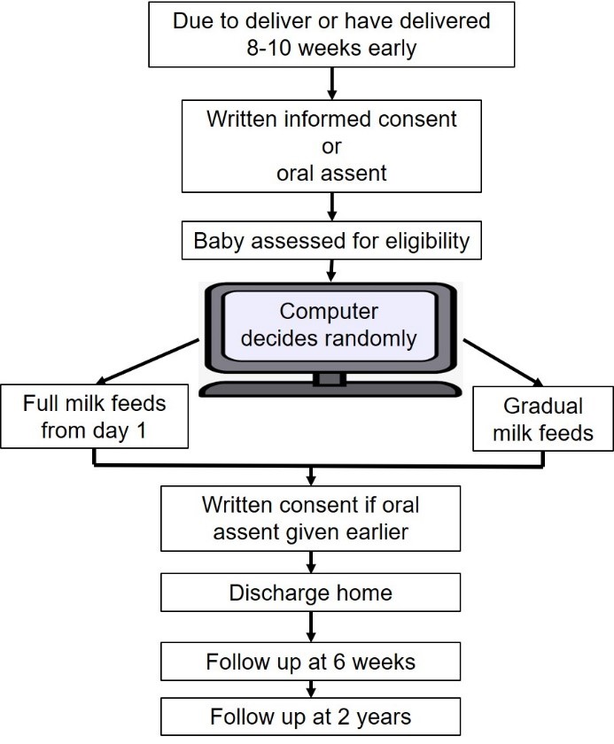 FEED1 flowchrat